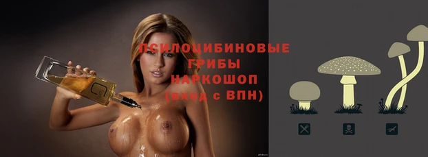 индика Абдулино